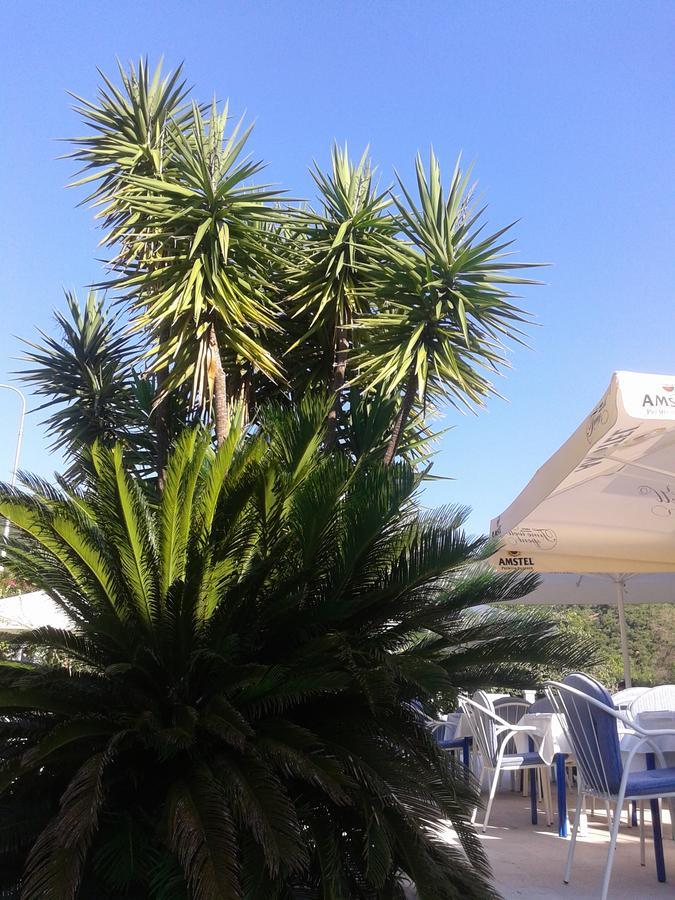 Hotel Jovana Budva Buitenkant foto